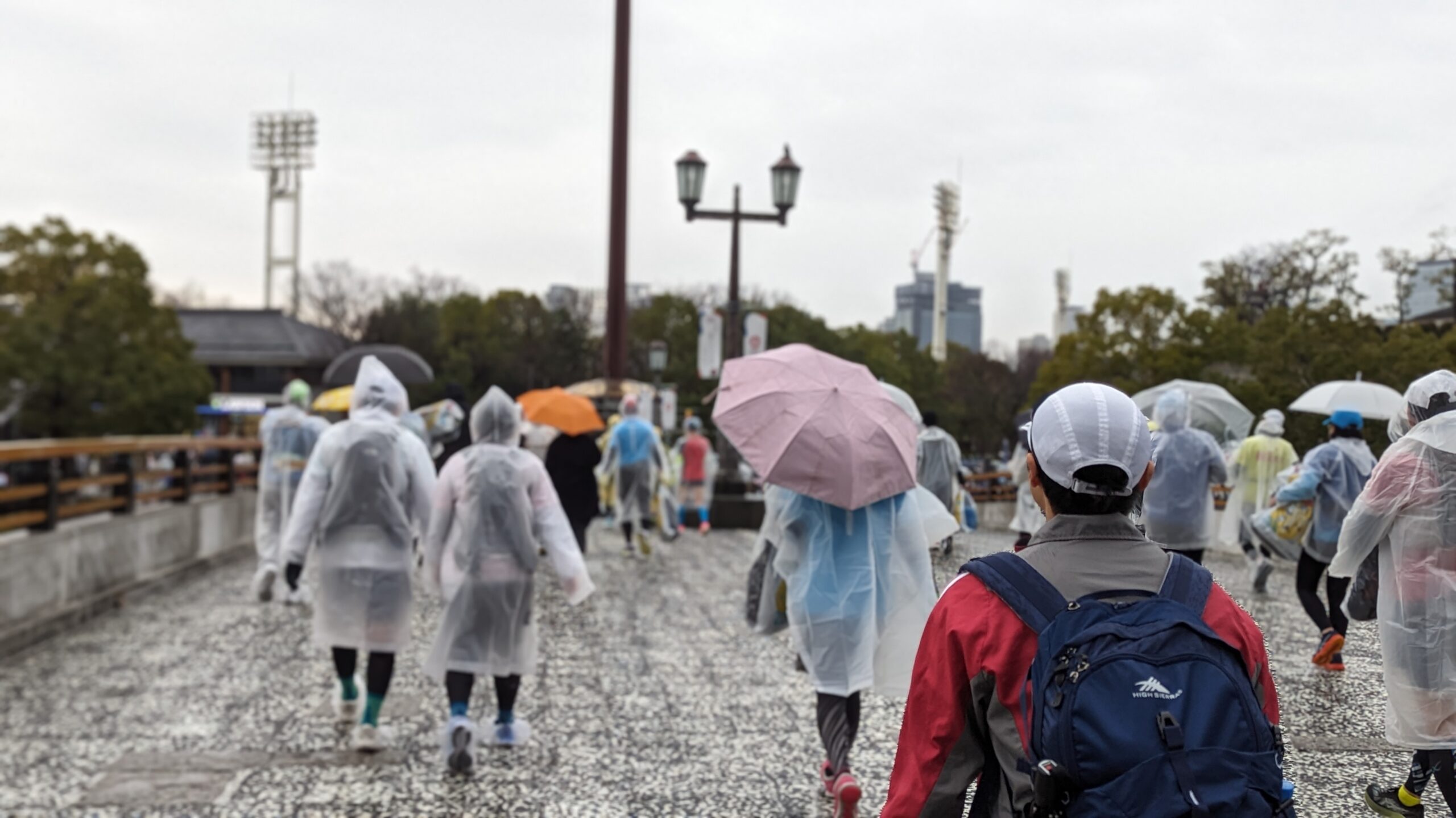 PXL_20240224_231227968.